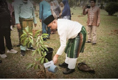 Bupati Dedy Putra Pimpin Penanaman Pohon dalam Rangka HUT Kabupaten Bungo ke-61