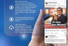 BKN: Tak Ada Status Lain Selain PNS dan PPPK