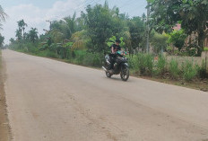 Akhiri Keluhan Warga, Jalan Beton SKK Migas-PetroChina Blok D-Mendahara Dongkrak Ekonomi Masyarakat Tanjabtim