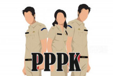Cari Kejelasan Regulasi Kontrak PPPK 2027, BKPSDM Sungai Penuh Datangi KemenPAN-RB