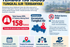 Kasus ISPA di Tanjabbar Tembus 158 Kasus, Tungkal Ilir Terbanyak