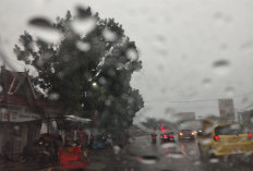 Alhamdulillah!! Setelah Hampir Dua Bulan Kemarau, Kota Jambi Akhirnya Diguyur Hujan