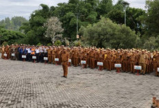 Perampingan OPD, 384 ASN Dirotasi Tugas