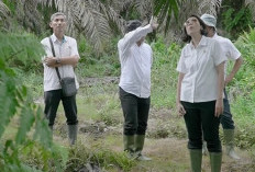 Direktur Keuangan PTPN IV PalmCo Tinjau Kesiapan Produksi Akhir Tahun di Kebun Lagan