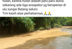 Aktivitas PETI Rusak Hutan Lindung, Tiga Ekskavator Sedang Bekerja