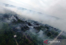BMKG: Kebakaran Lahan Berpotensi Meluas di Aceh Barat