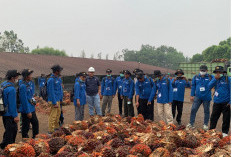 Tingkatkan Kompetensi 211 Petani Sawit, PTPN IV Regional IV Fasilitasi Pelatihan Bersama IPB Training
