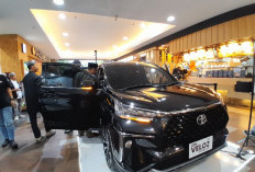 New Veloz Hybrid EV Resmi Meluncur di Jambi, Konsumsi BBM Tembus 28,9 Km Perliter