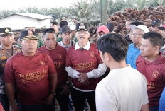 Pastikan Perusahaan Patuhi Harga TBS Pemerintah, Bupati Hendrajoni Sidak Pabrik Kelapa Sawit di Tapan