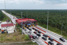 Libur Panjang Kenaikan Yesus Kristus 2026: Trafik JTTS Melonjak, Hutama Karya Layani 600 Ribu Lebih Kendaraan