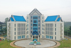 10 PTKIN Terbaik Berdasarkan Webometrics 2026, UIN STS Jambi Peringkat Berapa?, Ini Daftarnya