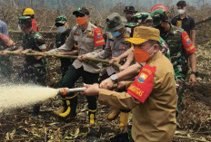 Lagi, Gubernur Al Haris Bersama Pangdam TIB Turun ke Kawasan Gambut Londerang Padamkan Karhutla