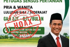 Catut Nama Mentan Amran, Lowongan Kerja Sensus Pertanian 2026 Dipastikan Hoaks