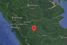 Bungo Diguncang Gempa Bumi Magnitudo 3,9, Ini Penjelasan BMKG