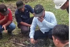  Kunjungi Kebun Ophir, Region Head PTPN IV Regional IV Minta Jajaran Prioritaskan Pupuk Organik Tankos