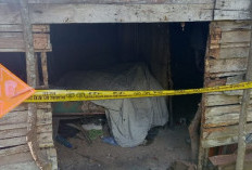 GEGER! Lansia Ditemukan Meninggal di Pondok Kebun di Jaluko