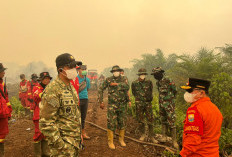 Danrem 042/Gapu Dampingi Gubernur Jambi, 148 Personel Gabungan Diterjunkan Perkuat Satgas Karhutla