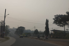 ISPU Jambi Tembus 204, Udara Kota Jambi Sangat Tidak Sehat