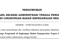 BKN Umumkan Hasil Seleksi Administrasi Tenaga Pengemudi Tahun 2026, 17 Lolos, 31 Tak Lolos, Ini Daftarnya   