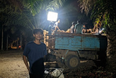 Sosok Nurpandi, Petani Sawit Asal Muaro Jambi yang Tak Lelah Berjuang Demi Keluarga