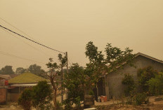 ISPU Tembus 267, Langit Kota Jambi Menguning, Warga Mulai Cemas