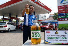 Cerita Pengemudi L300 dan Pikap Usai Gunakan B50: Tak Ada Masalah pada Mesin