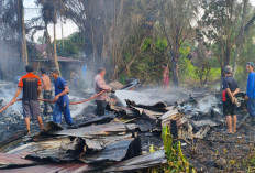 Delapan Rumah di Lagan Tengah Ludes Dilalap Api, Warga Mengungsi