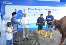 Semarak Idul Adha 2026, BRI Group Salurkan Lebih dari 5.000 Hewan Kurban ke Pelosok Negeri
