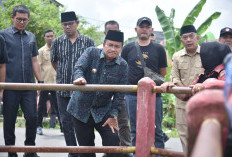 Namanya Masuk Bursa Cagub 2029, Maulana: Saya Fokus Membangun Kota Jambi