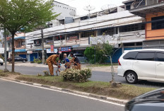 Terjadi Aksi Kejar-kejaran di Jalan, Puluhan Gepeng di Kota Jambi Terjaring