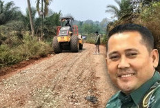 Bupati Merangin Perbaiki Jalan Rantau Limau Manis, Guru dan Murid SDN 313/VI Sampaikan Apresiasi