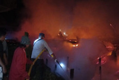 Kebakaran di Tanjabtim Hanguskan 10 Bangunan, 1 Warga Meninggal Dunia