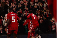 Bangkit! Liverpool Hajar Brighton 2-0