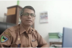 Selisih hingga Rp1.395/Kg dari Plasma, Pemkab Pessel Perjuangkan Harga TBS Swadaya