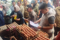 Wabup H A Khafidh Bersama Satgas Saber Pantau Harga Pasar
