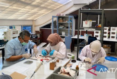 UNAND Teliti Potensi Tanaman Lokal Untuk Obat Diabetes dan Hipertensi