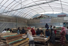 Perempuan Nasabah PNM Mekaar di Bandung Barat Kembangkan Usaha lewat Sinergi Ultra Mikro BRI