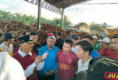 Sidak PKS, Bupati Hendrajoni Tegaskan Harga TBS Sawit di Pessel Tak Boleh Turun dan Harus Diperjuangkan Naik