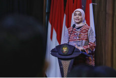 Kementerian PANRB Siapkan 76 Formasi Program Magang Nasional Angkatan 2 Batch 1 Tahun 2026