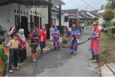 Belum Hilang Kaget, Muncul Lagi! Dua Sanca Teror Warga Kota Jambi dalam Semalam