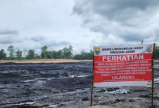 Viral! DLH Provinsi Tutup Stockpile Batu Bara di Tenam Batanghari 