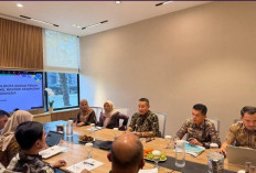 Pemkot Sungai Penuh Temui Wamenkes, Bahas Fasilitas RS hingga Dokter Spesialis