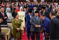 Presiden Prabowo Pangkas BUMN, 290 Perusahaan Ditutup, Target Tinggal 300 di Akhir 2026