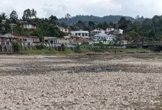 Sawah Kekeringan dan Nelayan Kehilangan Tangkapan, Danau Kerinci Terus Menyusut Parah 