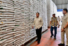 Presiden Prabowo Sidak ke Gudang Bulog Magelang, Pastikan Stok Beras Aman