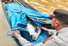 Update Mobil Masuk Jurang di Muara Emat, Satu Korban Meninggal, Satu Belum Ditemukan