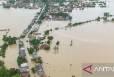 Ribuan Hektare Sawah di Karawang Terendam Banjir