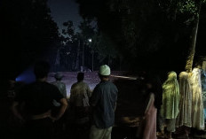 Sapi Kurban Lepas dan Mengamuk di Kota Baru, Tim Damkar Kota Jambi Turun Evakuasi