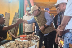 Wako Alfin Evaluasi Penataan Tanjung Bajure, Utamakan Pendekatan Humanis dan Solutif