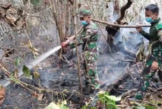 Karhutla Kembali Terjadi Di Batanghari, Tim Gabungan Bergerak Padamkan Api Di Kawasan PT Reki